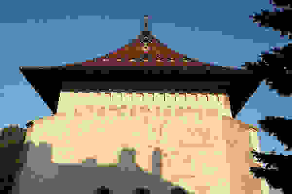 monizog2