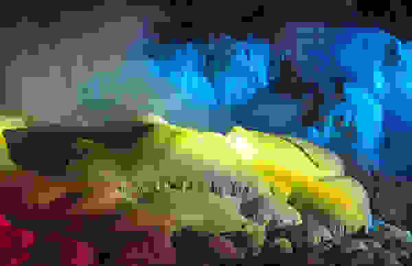 niagara2