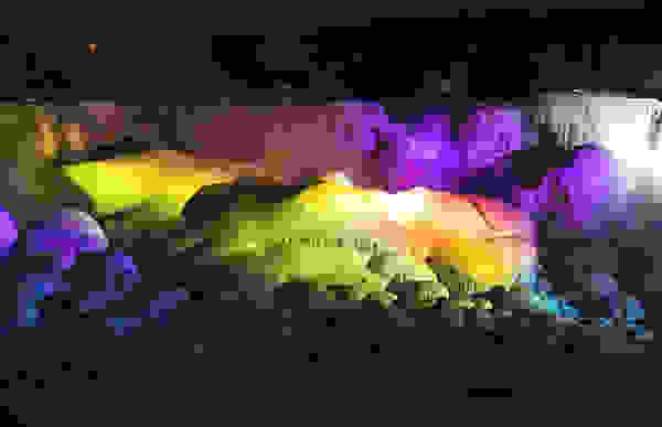 niagara4
