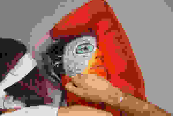 parrotpaint1