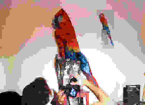 parrotpaint3