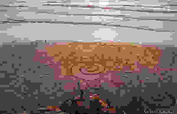 sand4