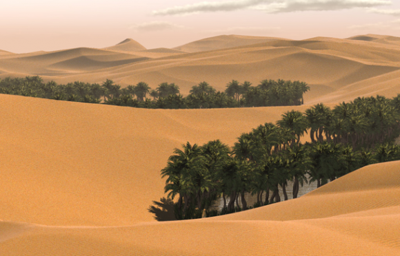 saudi1-580x372