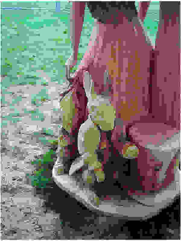 sculptt8
