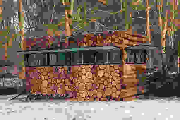 wood1