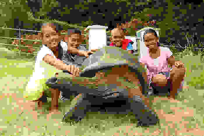 182-year-old-tortoise-jonathan-1