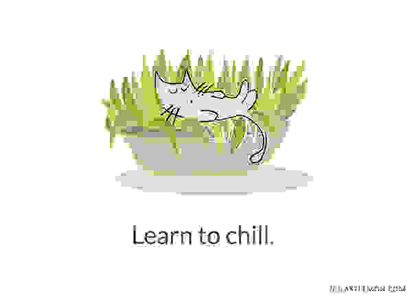 Life-Lessons-from-Cats1