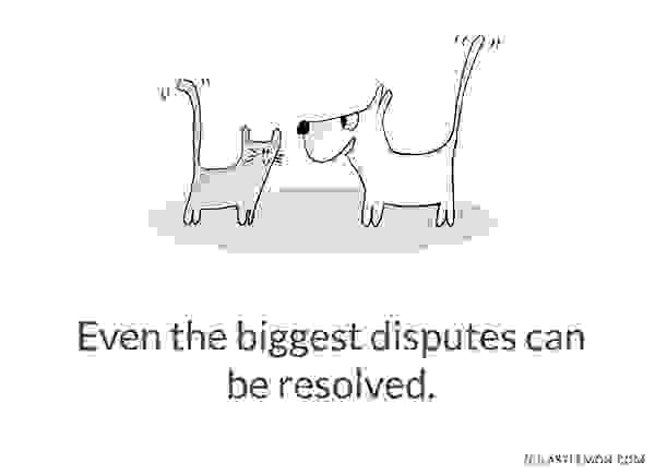 Cute-and-Insightful-Life-Lessons-from-Cats10