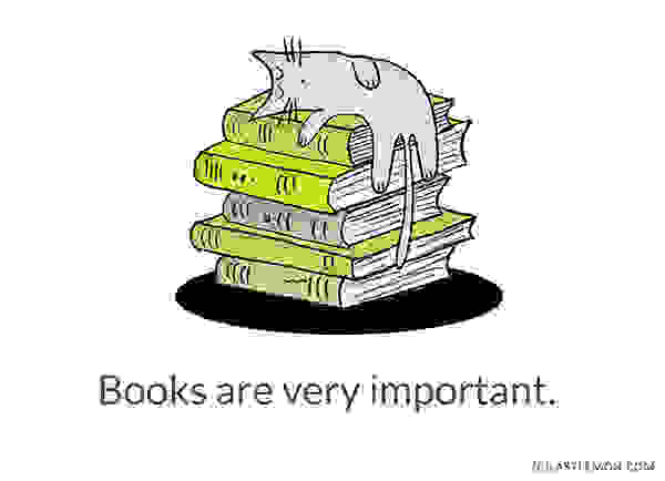 Cute-and-Insightful-Life-Lessons-from-Cats13