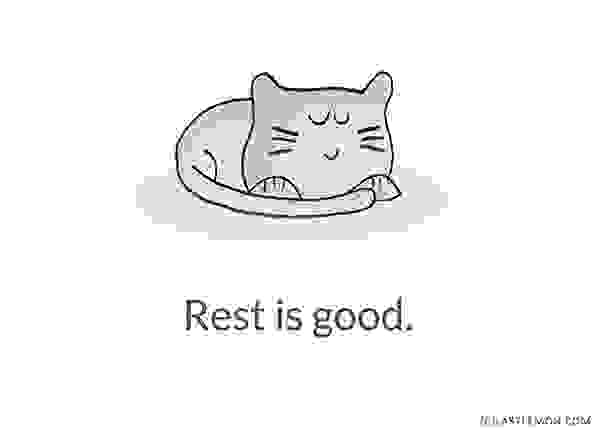 Cute-and-Insightful-Life-Lessons-from-Cats14