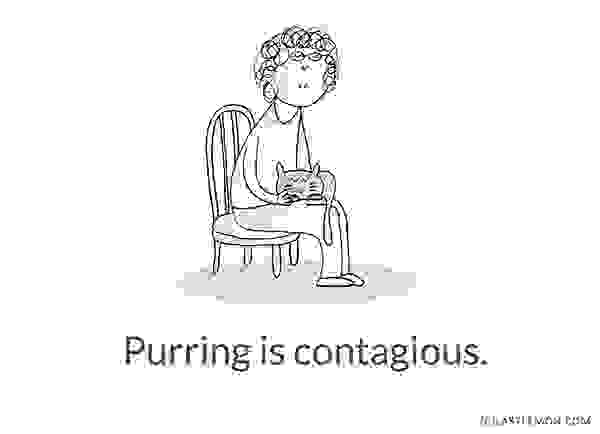 Cute-and-Insightful-Life-Lessons-from-Cats18