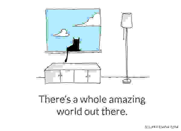 Cute-and-Insightful-Life-Lessons-from-Cats2