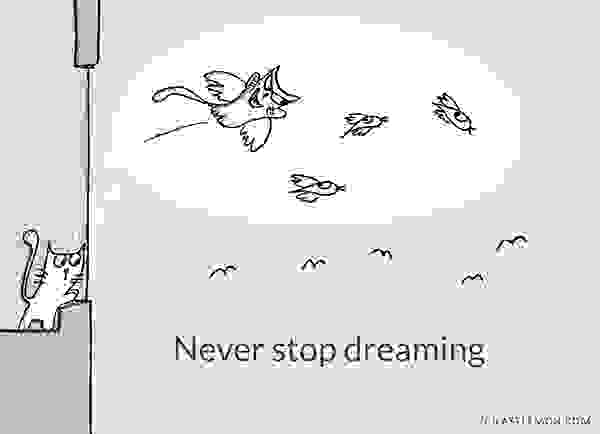 Cute-and-Insightful-Life-Lessons-from-Cats3