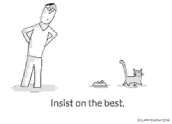 Cute-and-Insightful-Life-Lessons-from-Cats5