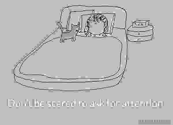 21 Hilarious Cute and Insightful Life Lessons from Cats6