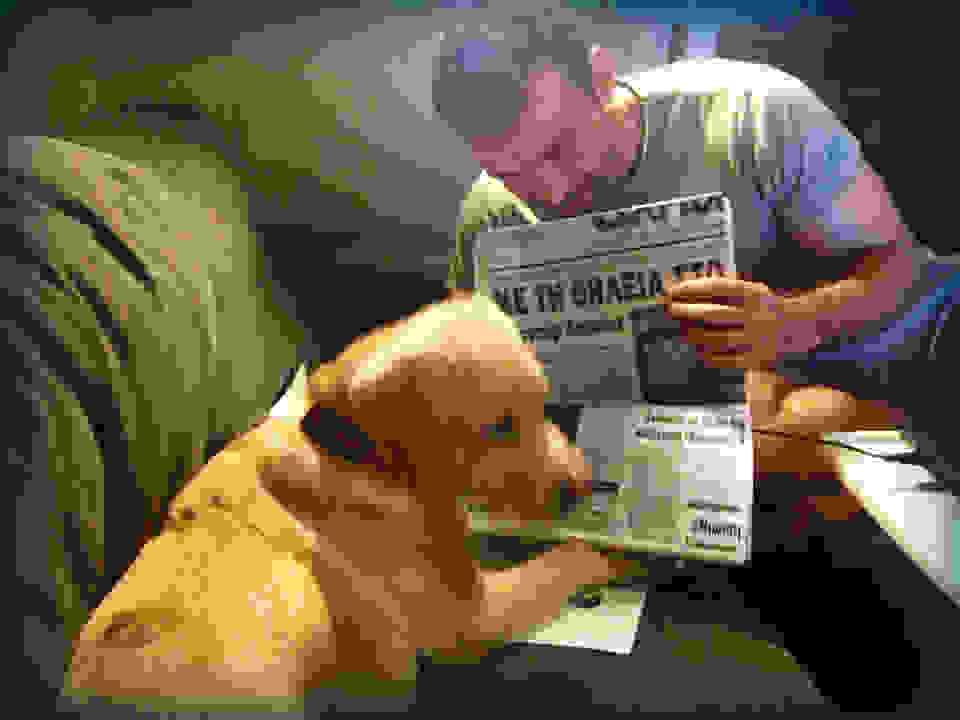ZANAX2