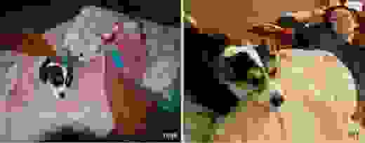 633798 before6.png