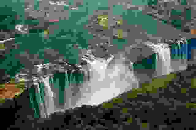 pisina98
