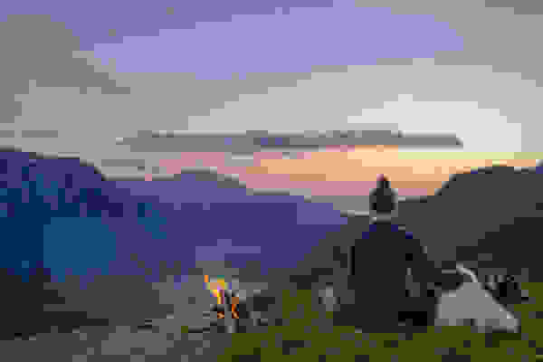 Akiak-dog-5