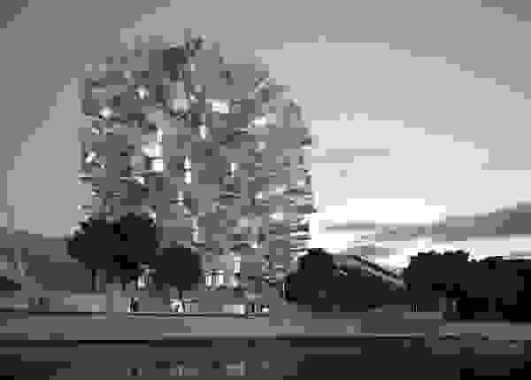 Arbre Blanc01