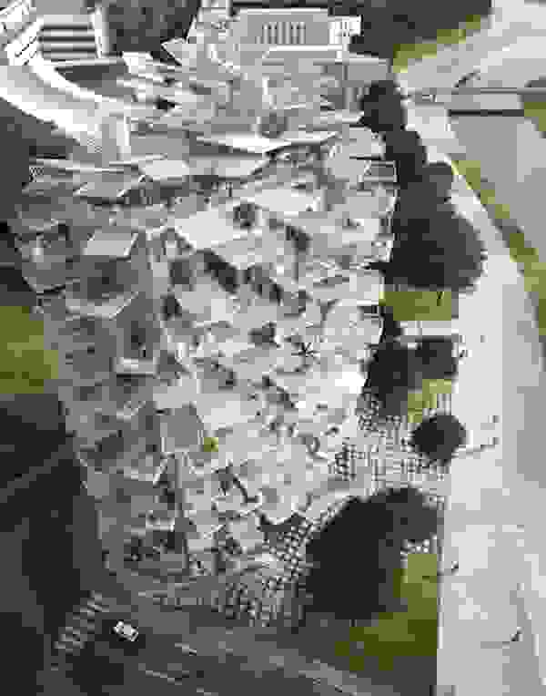 Arbre Blanc12