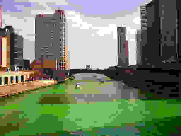 Chicagoriver4