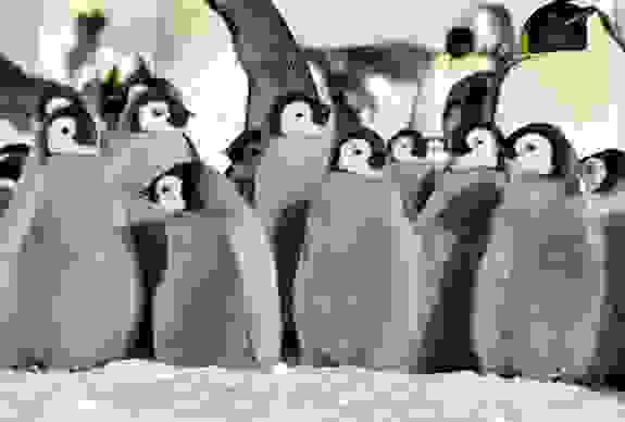 Creche