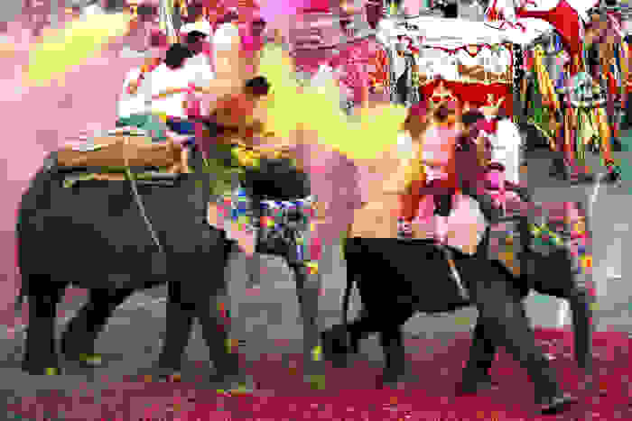 Jaipur ElephantFestival1