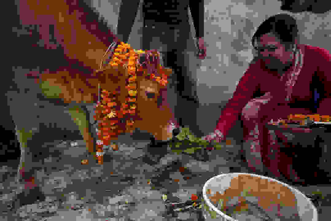 NEPAL-15