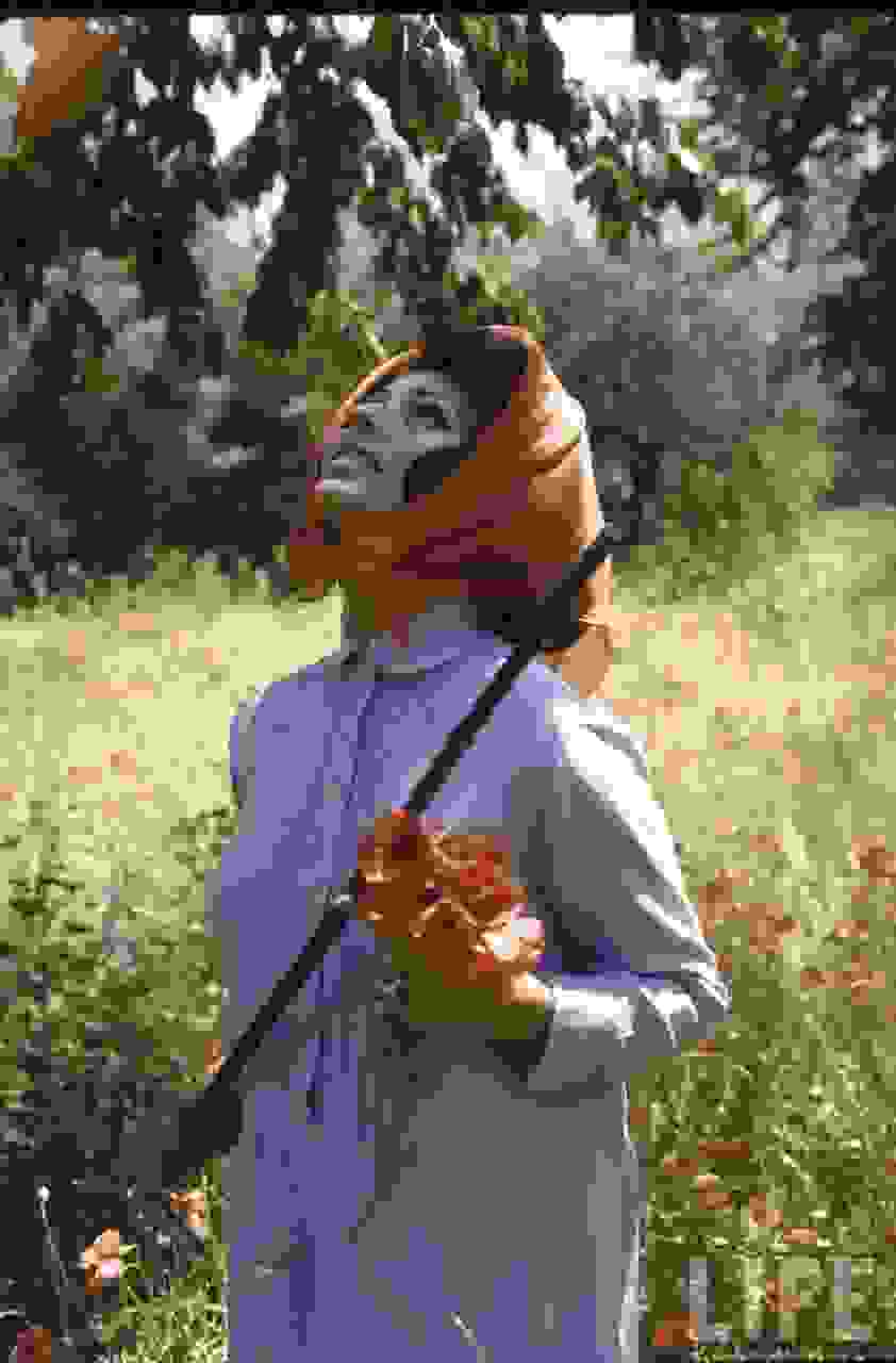 Sophia Loren 15