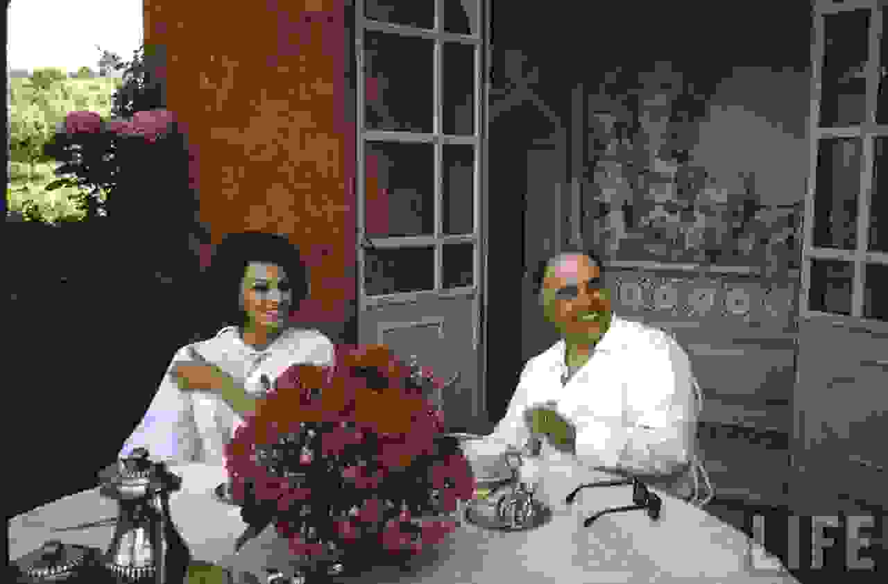 Sophia Loren Qb