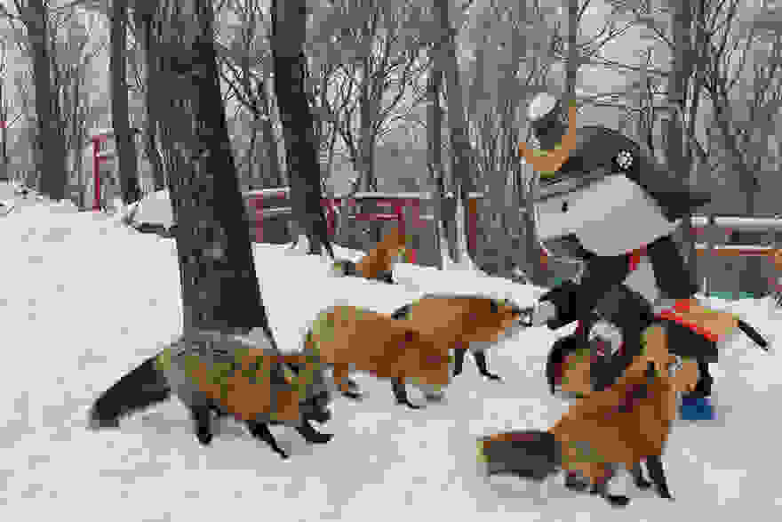 ZaoKitsuneMurafox village 3