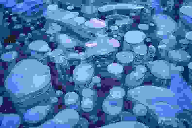 abraham-lake5