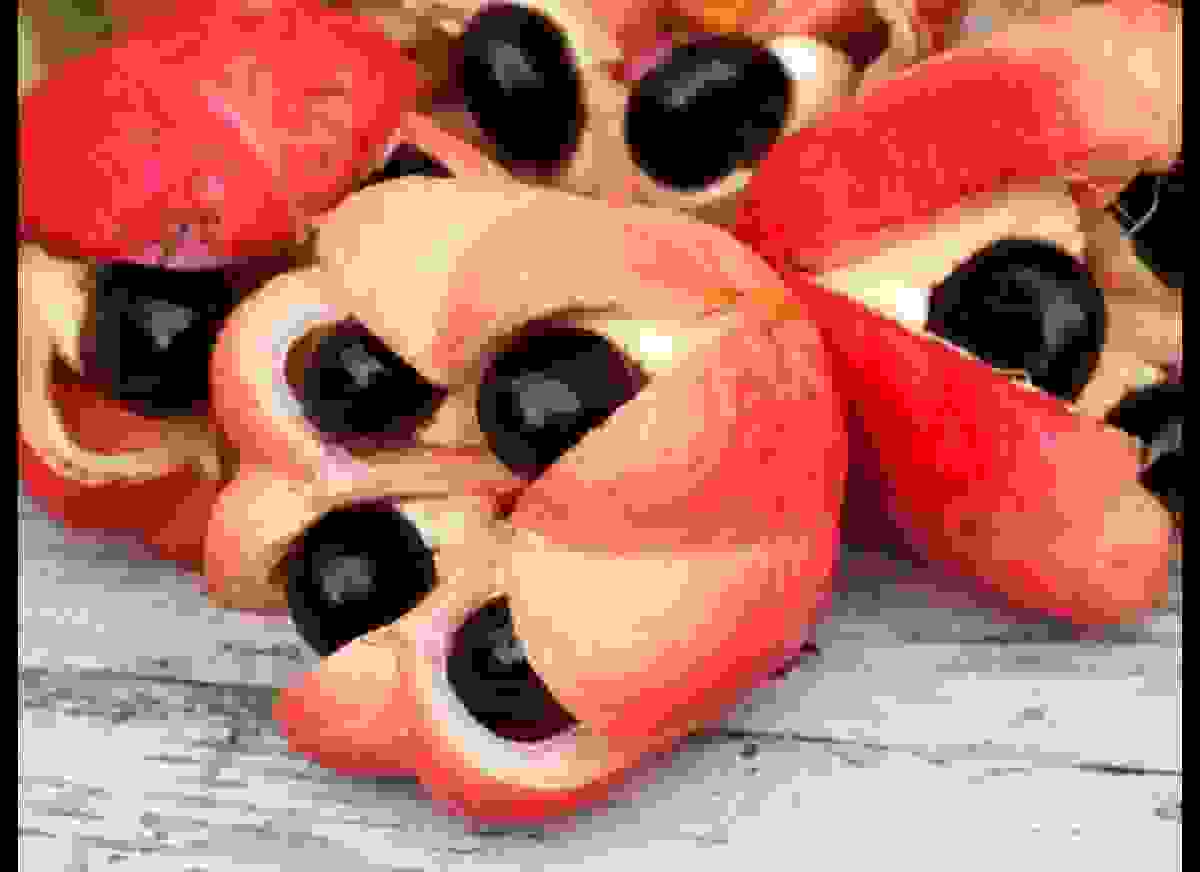 ackee