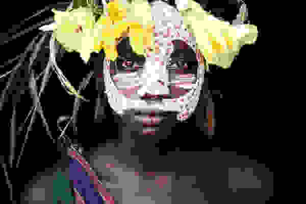 africfacs13