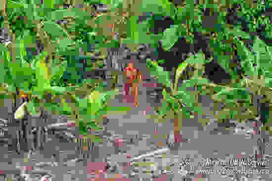 amazon-tribe-2