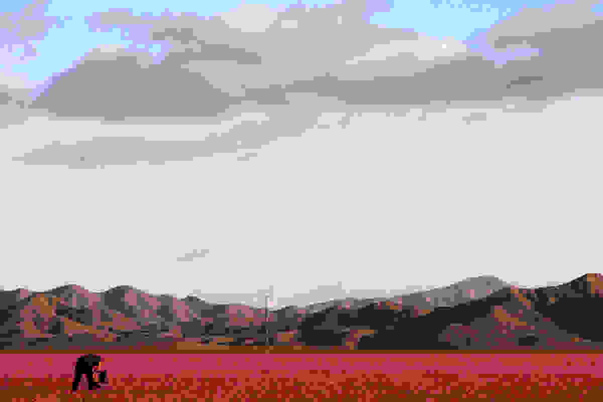 atakama09