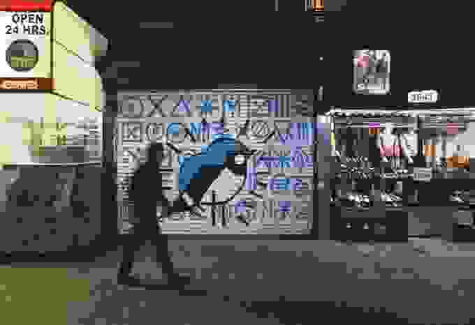 audubonbirdmurals11