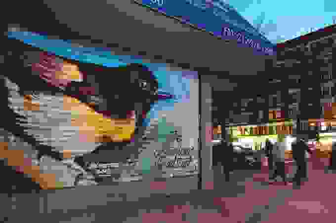 audubonbirdmurals4