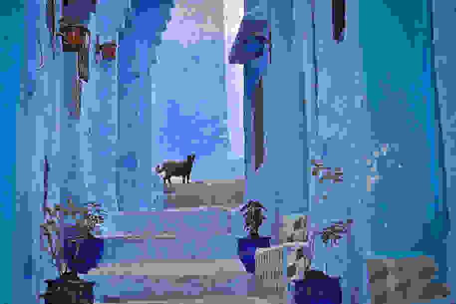 blue-morocco
