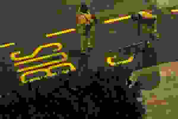 bustypography