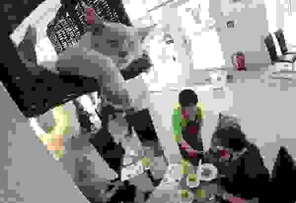 cafeodd1