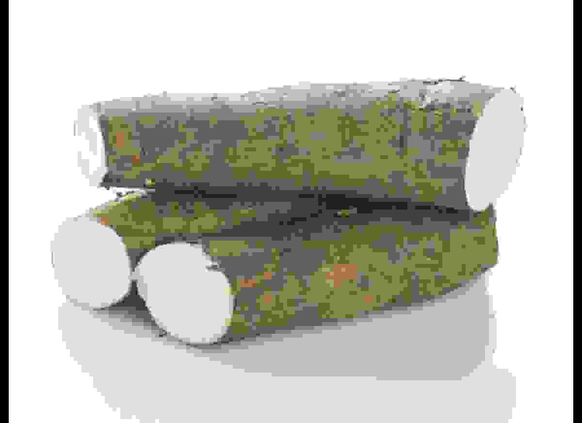 cassava