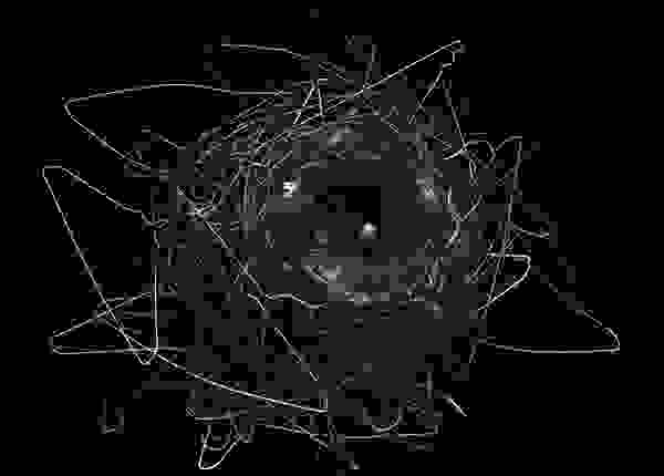 crownest6