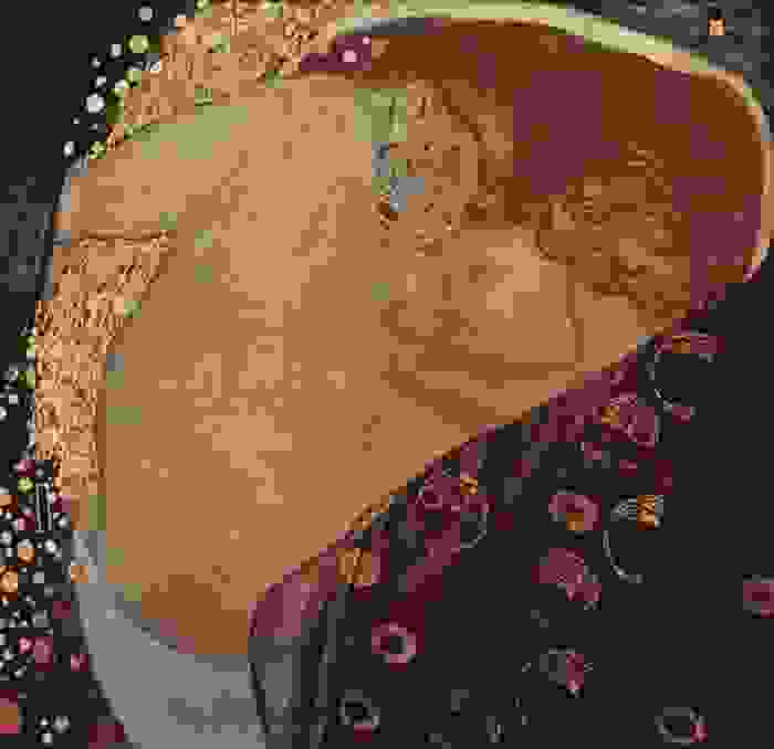 danai-klimt