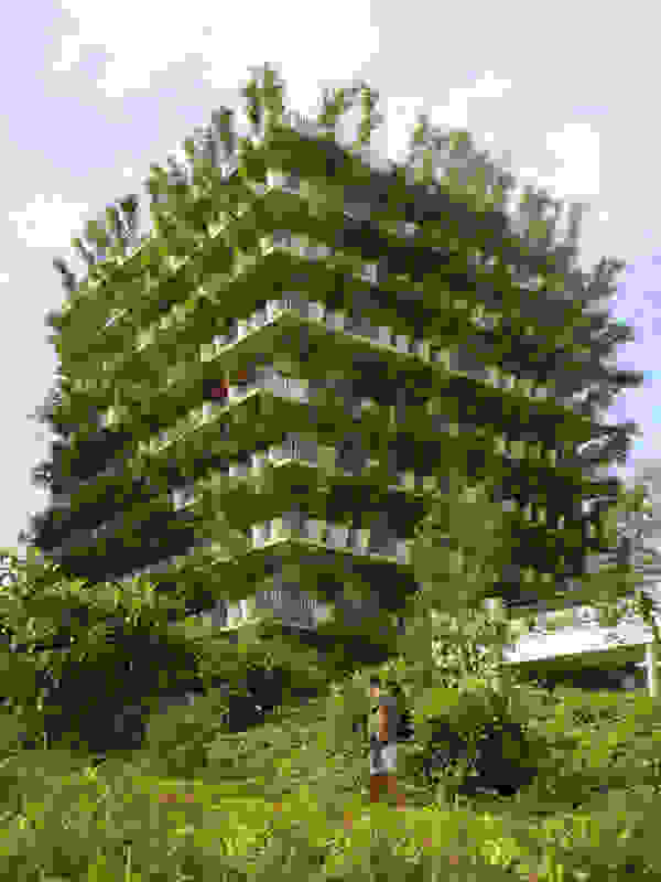 flowerTower 4