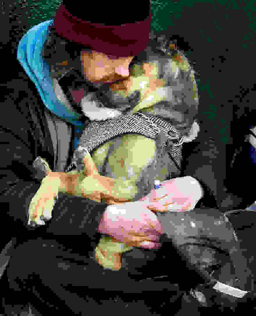 homeless-dogs-and-owners-4
