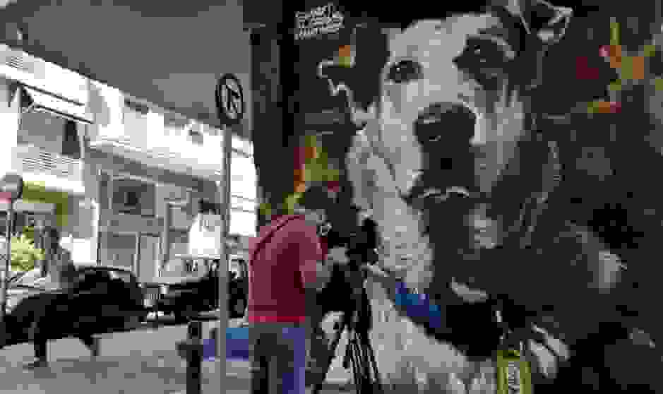 o-loukanikos-egine-grafiti-stou-psyrri3
