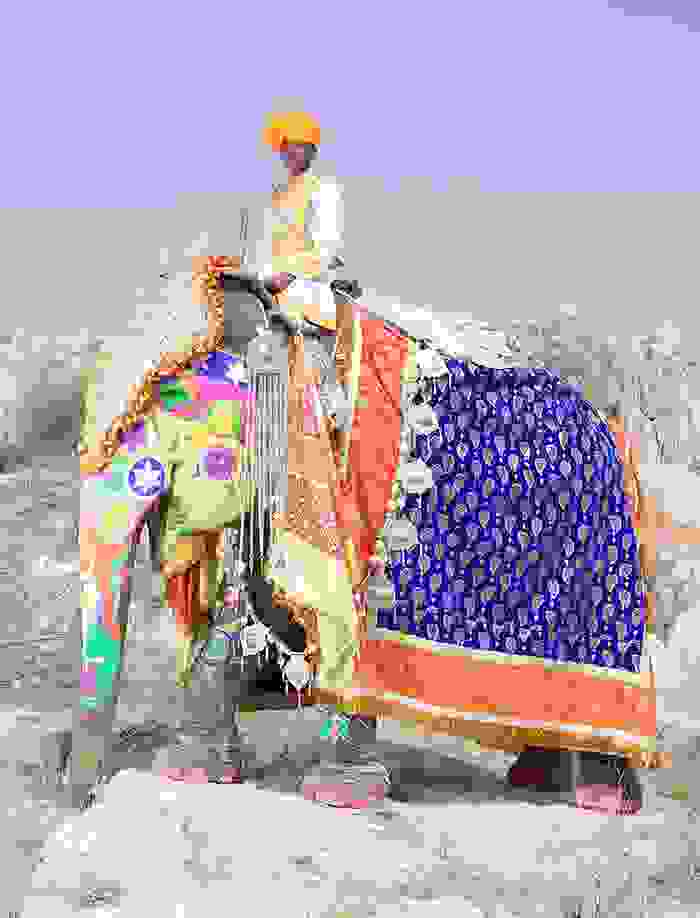 oi-zografismenoi-elefantes-tis-indias
