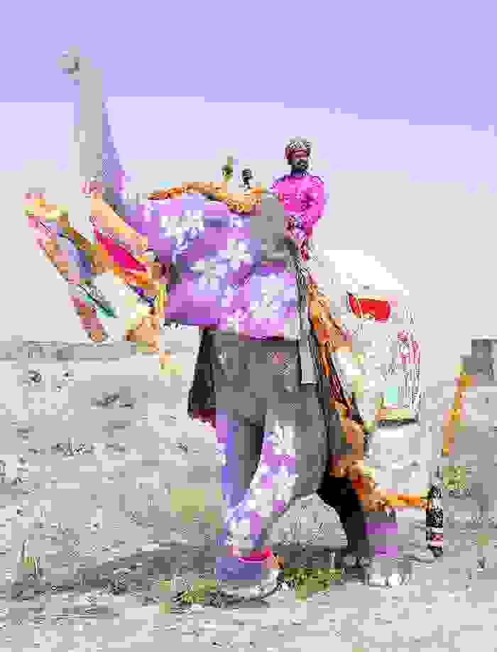 oi-zografismenoi-elefantes-tis-indias10